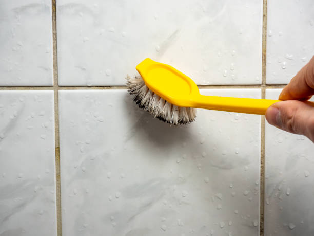 Best Post-Flood Mold Remediation in Carrollton, VA
