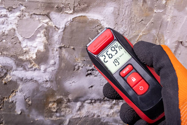 Best DIY Mold Remediation Support Services in Carrollton, VA