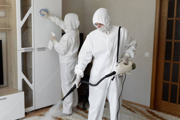 Best Residential Mold Remediation in Carrollton, VA
