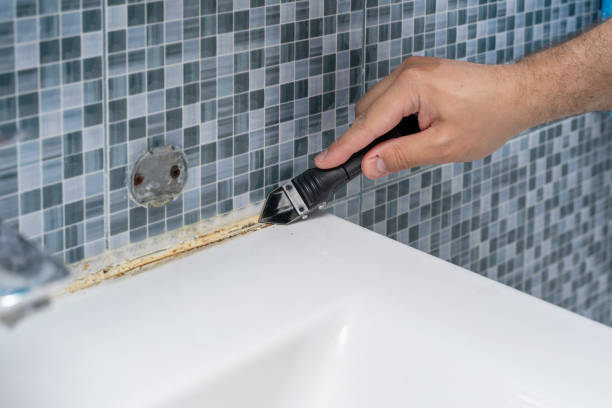Best Insurance-Related Mold Remediation in Carrollton, VA